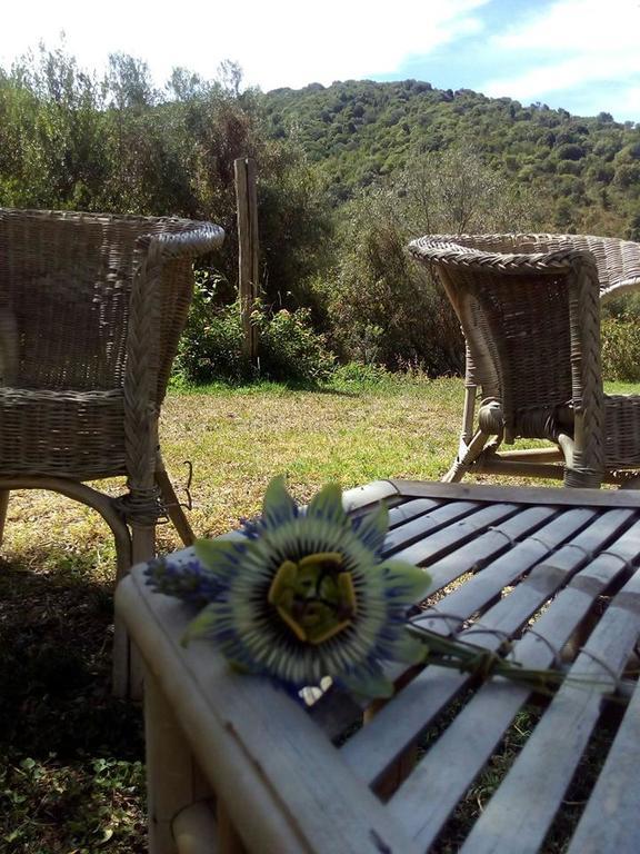 Agriturismo S'Arxola Villa เตวลาดา ภายนอก รูปภาพ