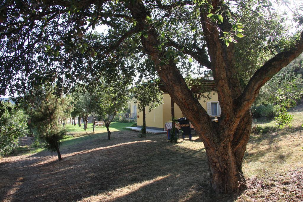 Agriturismo S'Arxola Villa เตวลาดา ภายนอก รูปภาพ